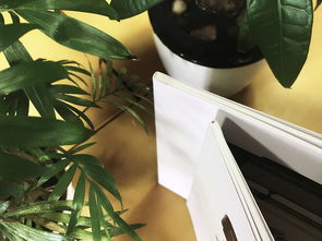 成都百铂文化 专业画册制作与产品宣传册定做服务